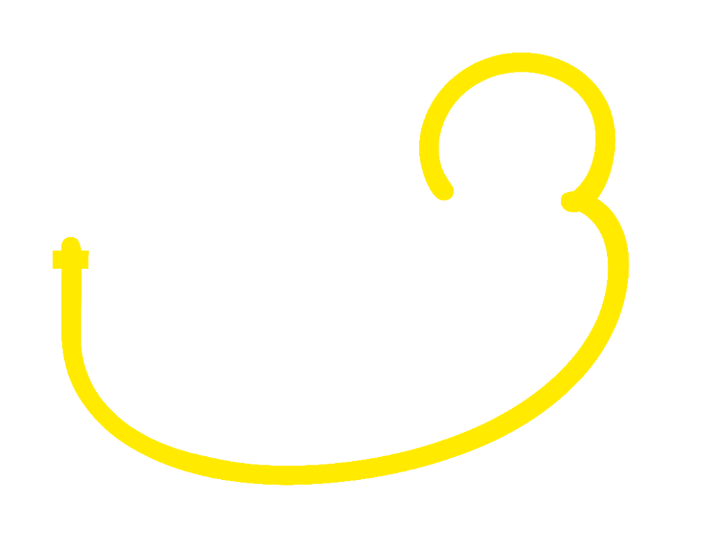 DEVANAGARI SCRIPT SWASH / LOOP